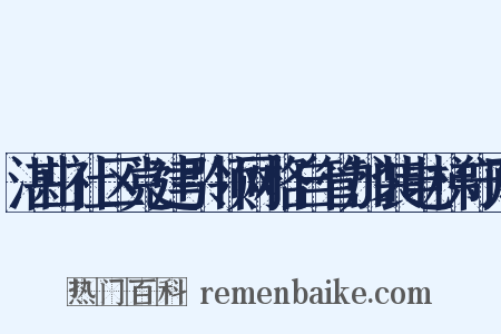 湛山社区党建引领网格自管加装电梯守则是什么意思的图片